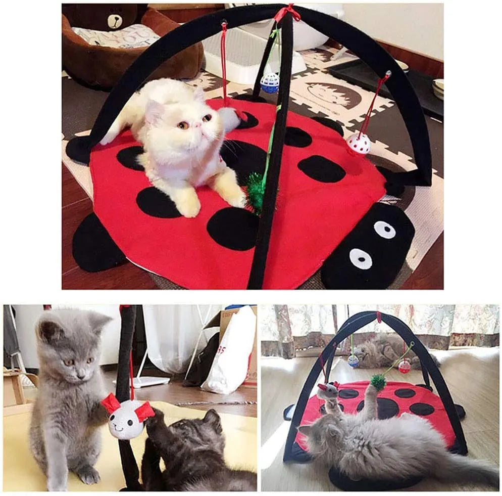 Black Ladybug Cat Play Mat by Purrfect Pet Kingdom, padded base with hanging toys, perfect for playful cats, 29.99.
