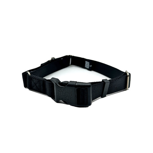 Martingale Dog Collar