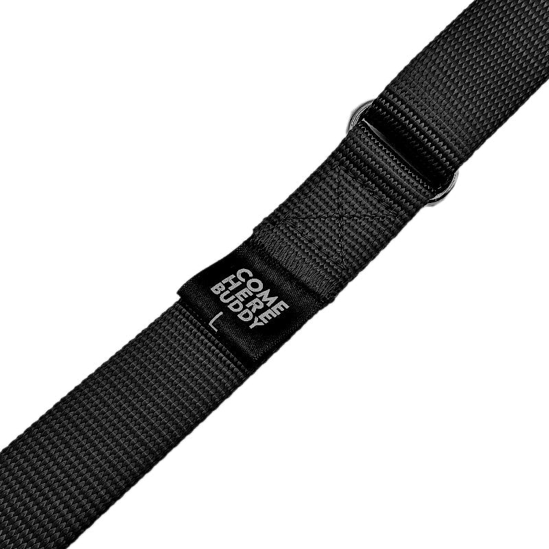 Martingale Dog Collar - Purrfect Pet Kingdom