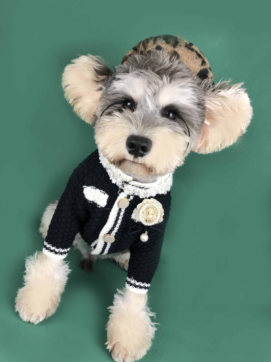Pet sweater kint fashion cardigan
