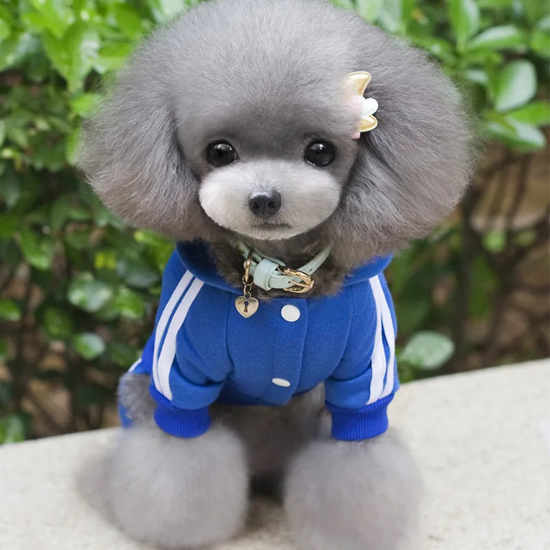 dsers Dog Hooded Jumpsuit for Small Dogs - Stylish Activewear - pet clothing - THRIXINE