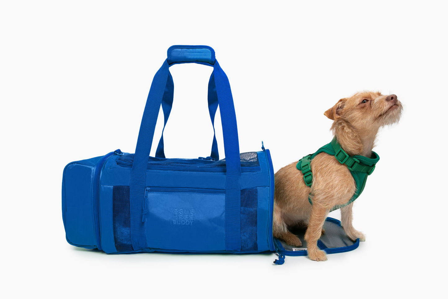 Travel Buddy - Pet Carrier - Pet Carrier - Come Here Buddy