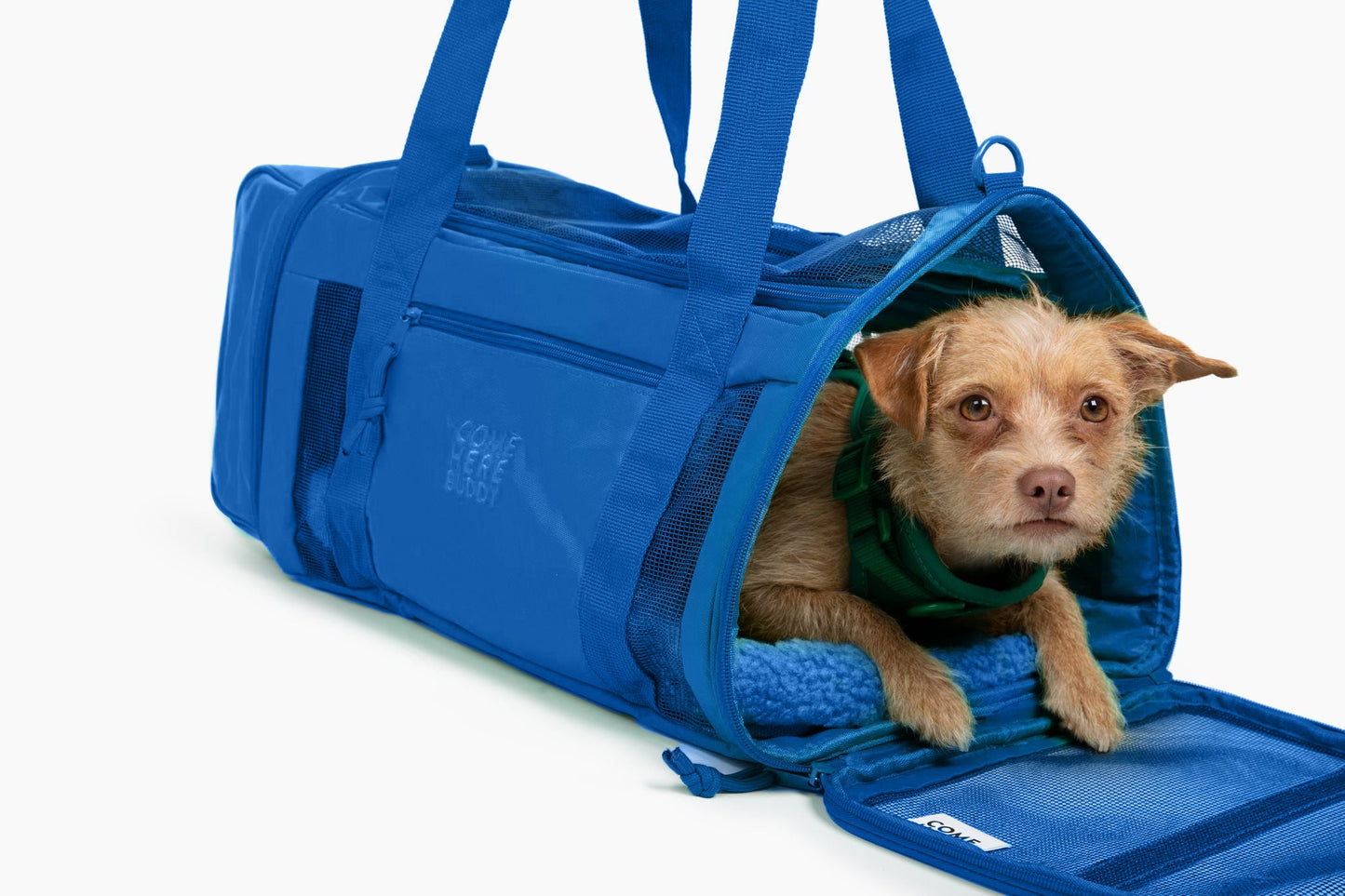 Travel Buddy - Pet Carrier - Pet Carrier - Come Here Buddy