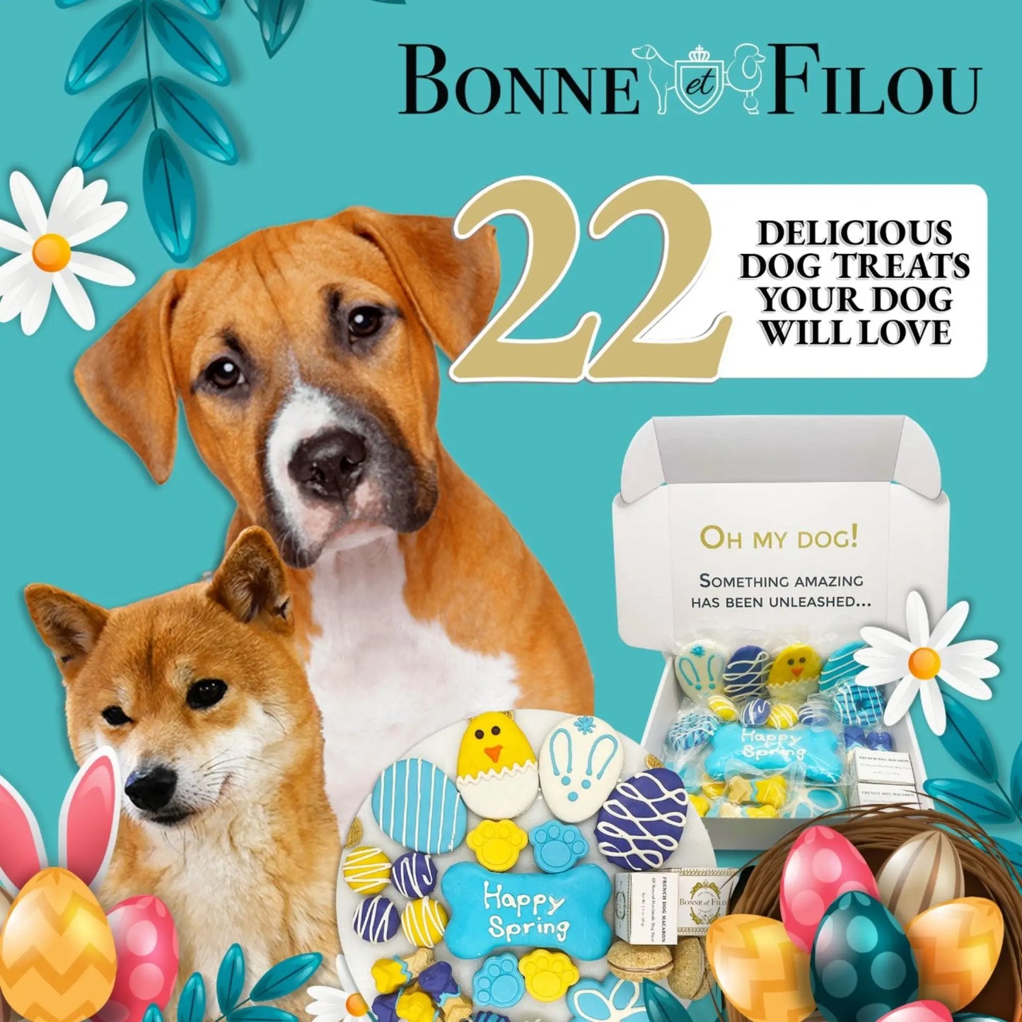 Luxury Dog Treats Happy Spring themed high-value training treats box with two dogs and colorful decorated cookies