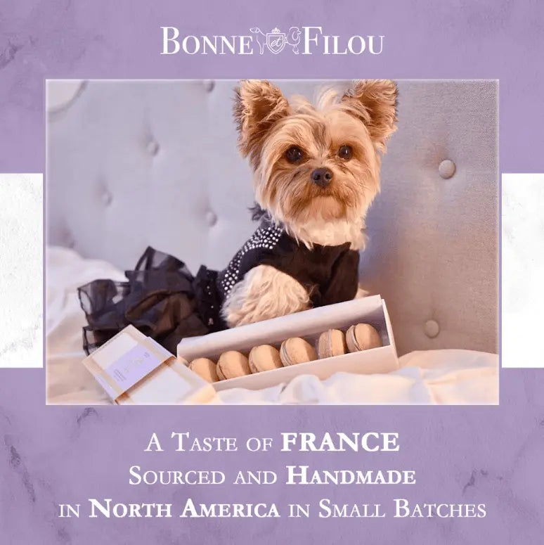 Luxury Dog Treats for Special Occasions by Purrfect Pet Kingdom Purrfect Pet Kingdom