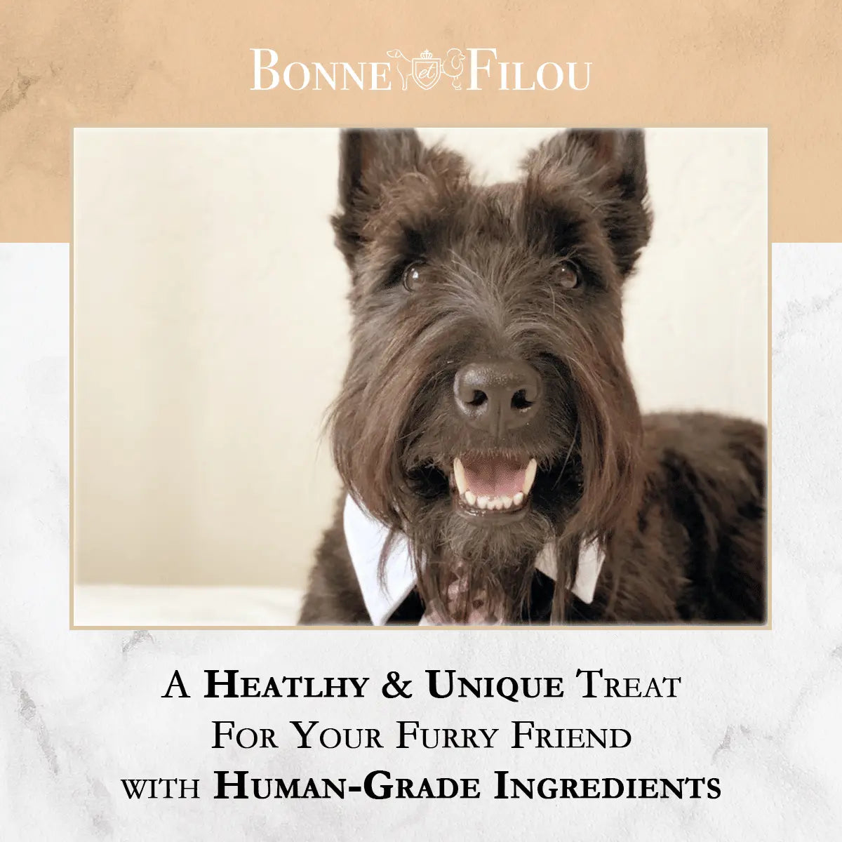 Luxury Dog Treats for Special Occasions by Purrfect Pet Kingdom Purrfect Pet Kingdom