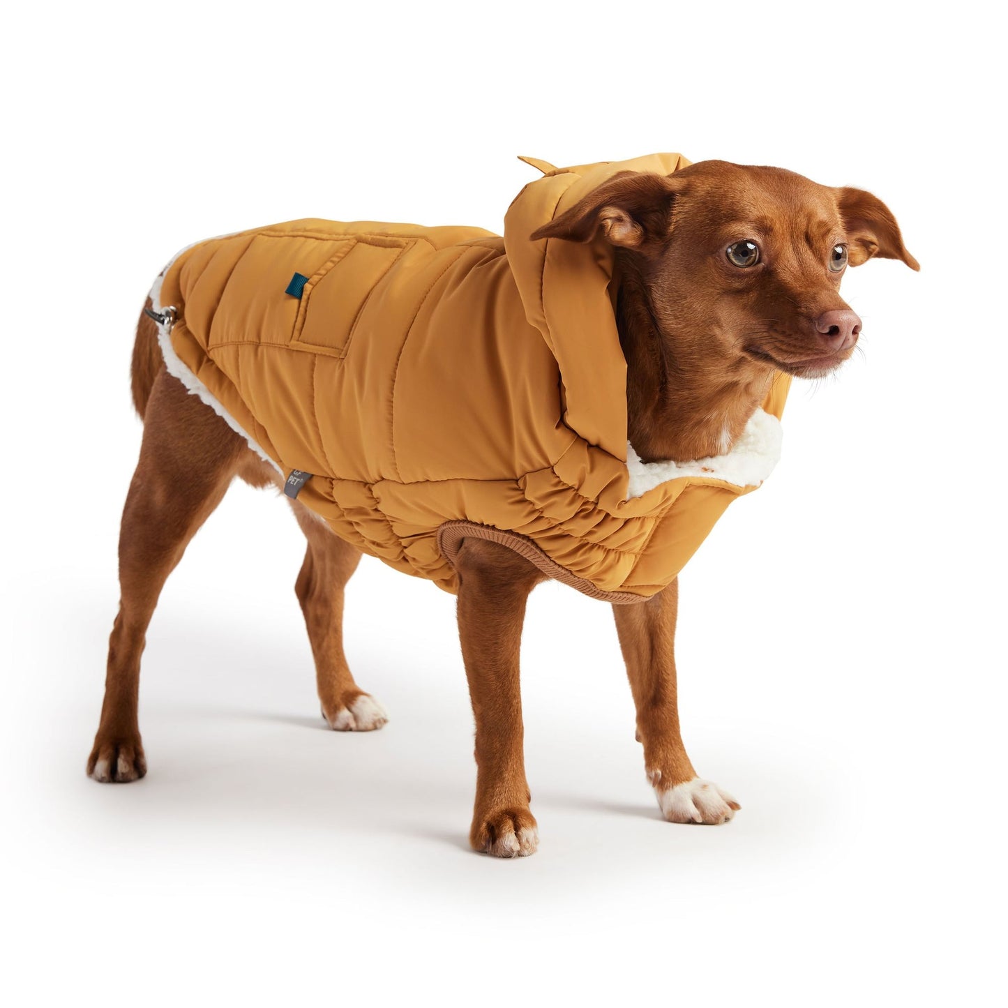 Purrfect Pet Kingdom Warm Parka for Pets with Hood Purrfect Pet Kingdom