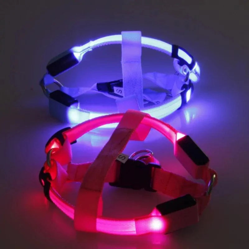 Bright Night Pet LED Harness ๐ก - Purrfect Pet Kingdom