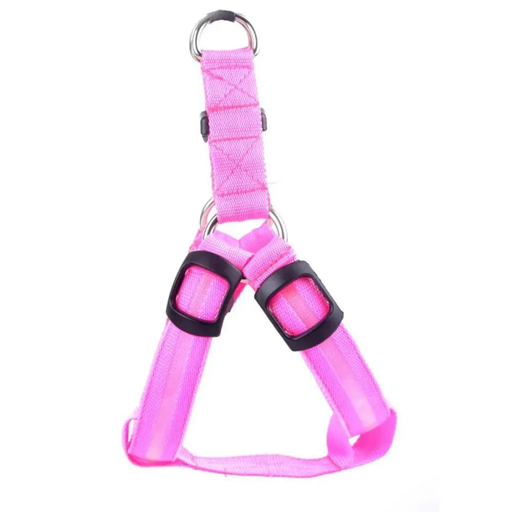 Bright Night Pet LED Harness ๐ก - Purrfect Pet Kingdom