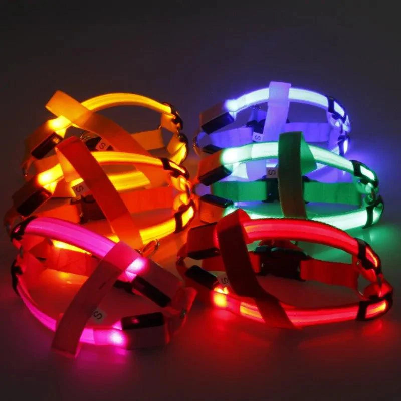 Bright Night Pet LED Harness ๐ก - Purrfect Pet Kingdom