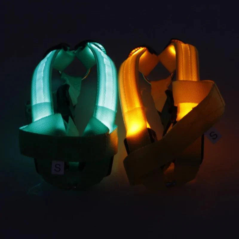 Bright Night Pet LED Harness ๐ก - Purrfect Pet Kingdom