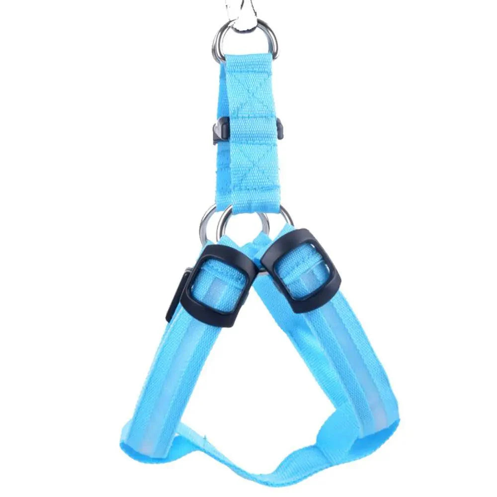 Bright Night Pet LED Harness ๐ก - Purrfect Pet Kingdom