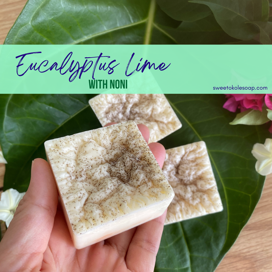 Natural Conditioner Bar - Eucalyptus & Lime Essential Oils with