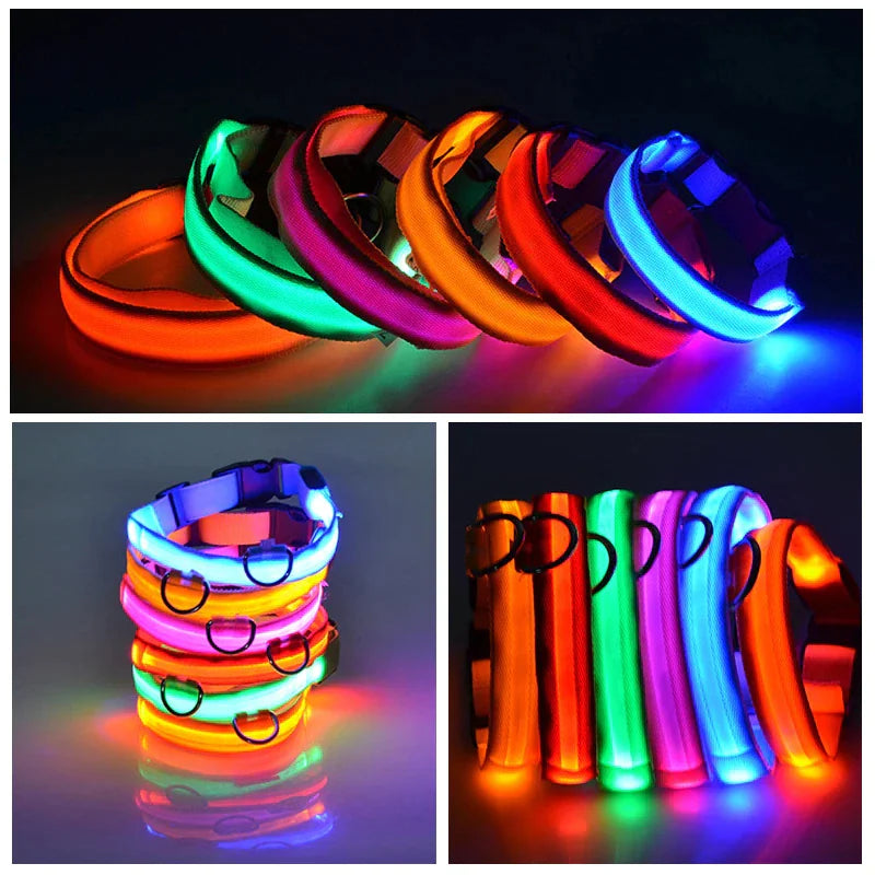 Royal Luminous Safety Pet Collar Adjustable LED Night Visibility ๐ก๐