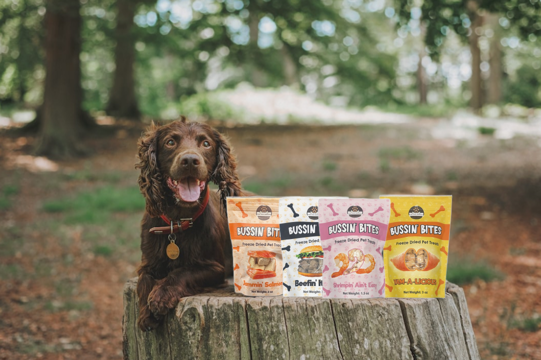 Dog sitting on a log with various dog treats from The Dog Bodega, including freeze dried shrimp treats for cats and dogs