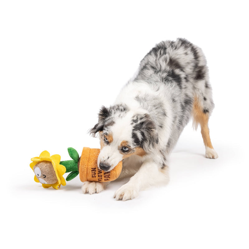 Seek 'n Treat Sunflower Pawt Plush Treat Interactive Dog Toy