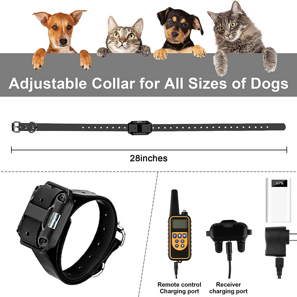 800m Digital Dog Training Collar - Premium LCD Control System ๐ฑ