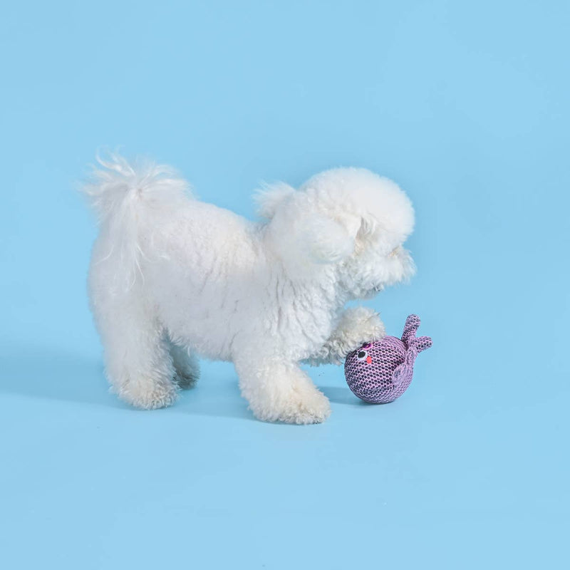 Ocean Pals Octopus Ball Dog Toy