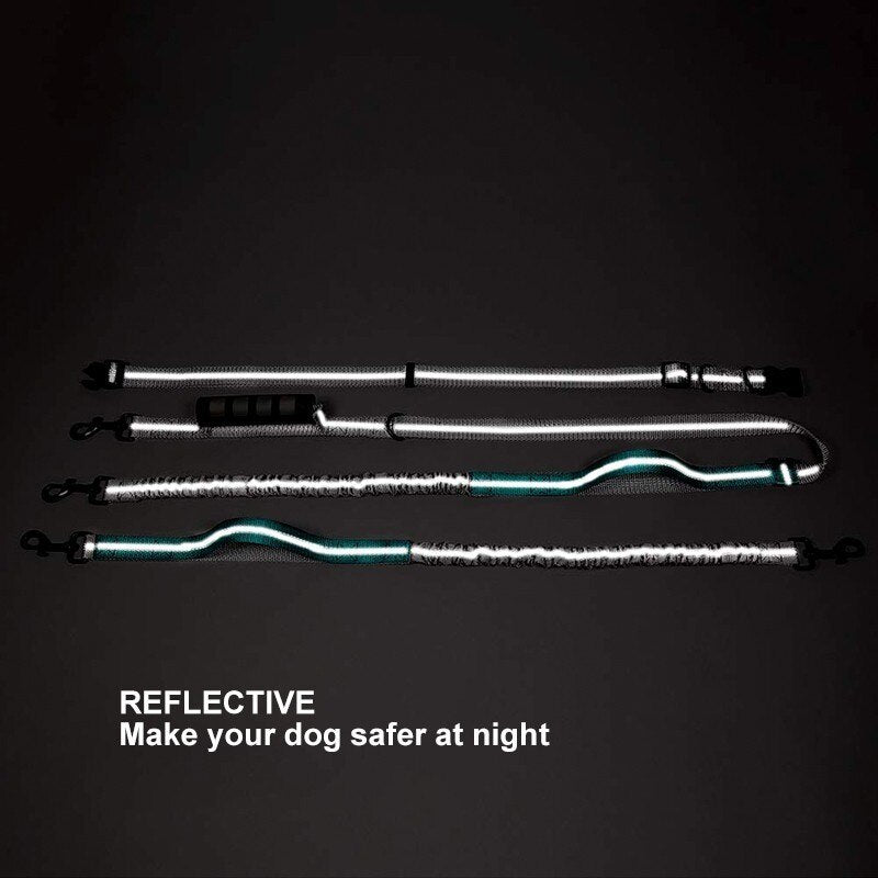 Multifunctional Handsfree Bungee Dog Leash