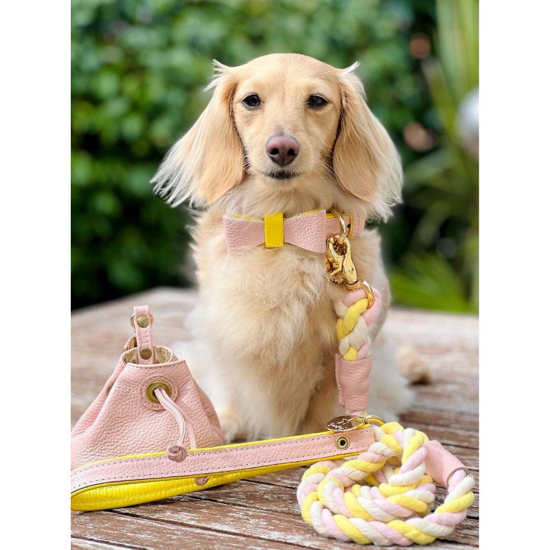 Luxury Leather Dog Collar Sweetest Thing (Pink / Yellow)