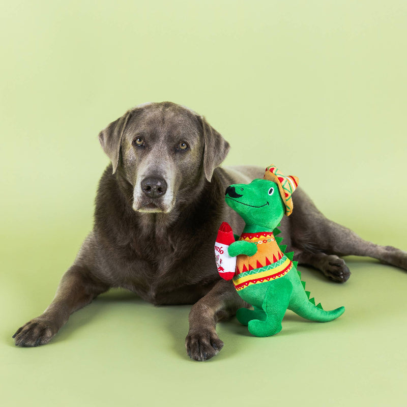 Fiesta Saurus Mustache Rex Plush Squeak Dog Toy