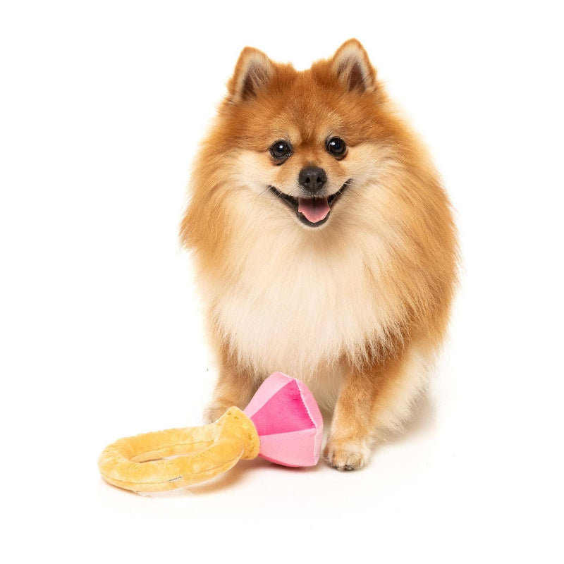Diamond In The Ruff Pink Ring Plush Dog Toy