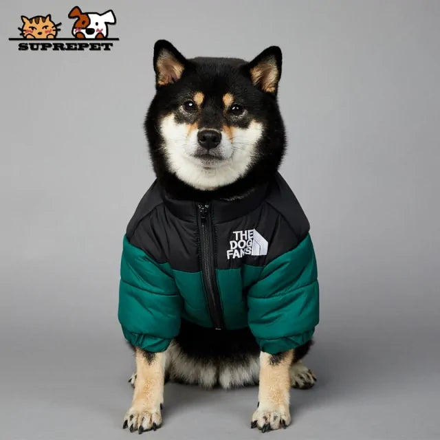 Dog Winter Jacket Luxury Waterproof Insulated 🧥