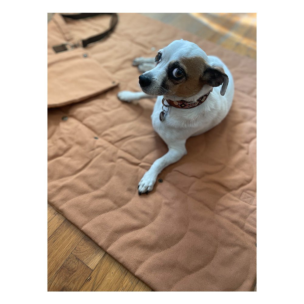 Convertible Dog Bag - Portable Travel Mat Bag for Pet Owners