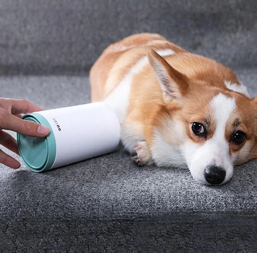 Purrfect Pet Kingdom Portable Paw Washer cleaning a Corgi dog's paw on gray carpet