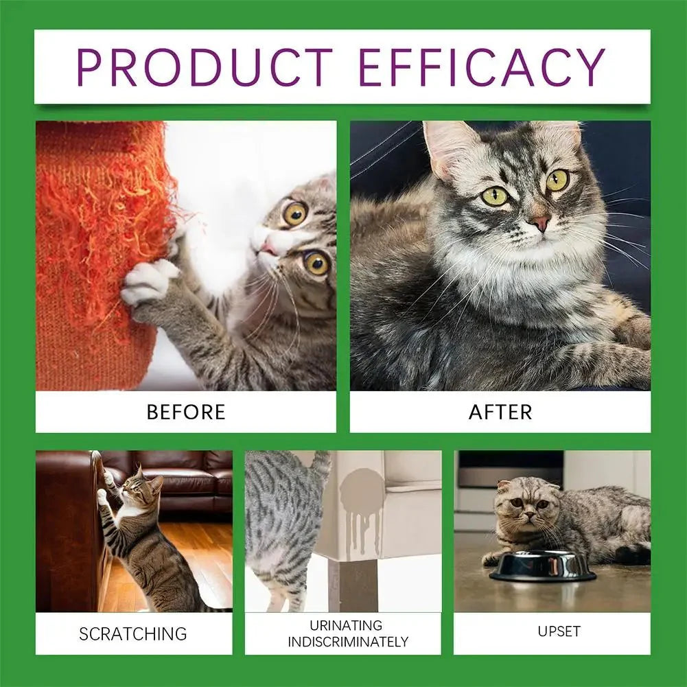Cat Calming Diffuser Kit