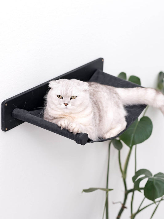 Cat Hammock Shelf
