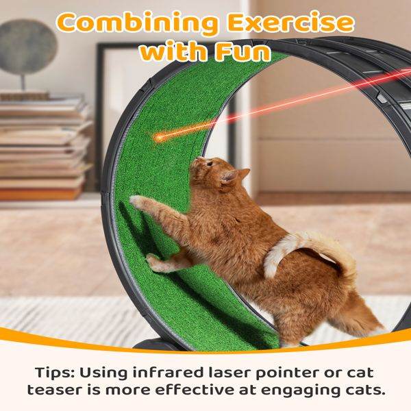 Purrfect Pet Kingdom Cat Treadmill for Active Cats Purrfect Pet Kingdom