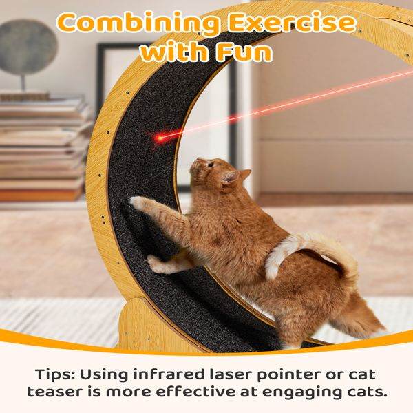 Purrfect Pet Kingdom Cat Treadmill with Wooden Frame Purrfect Pet Kingdom