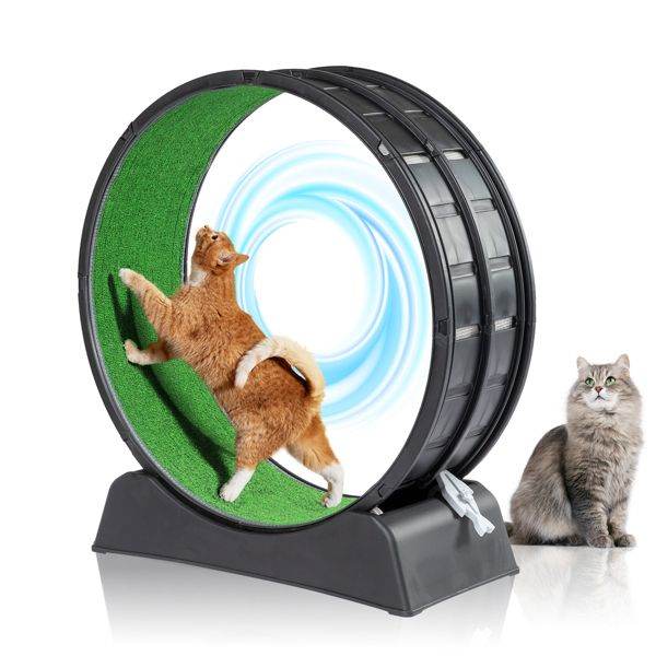 Purrfect Pet Kingdom Cat Treadmill for Active Cats as picture Purrfect Pet Kingdom