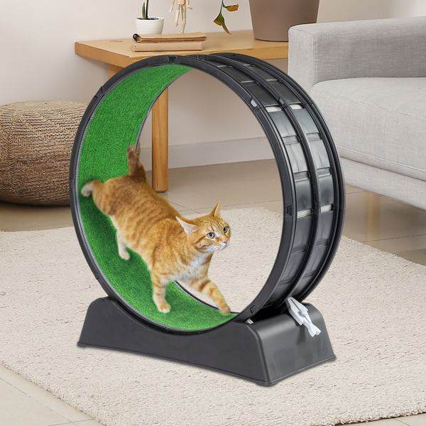 Purrfect Pet Kingdom Cat Treadmill for Active Cats Purrfect Pet Kingdom