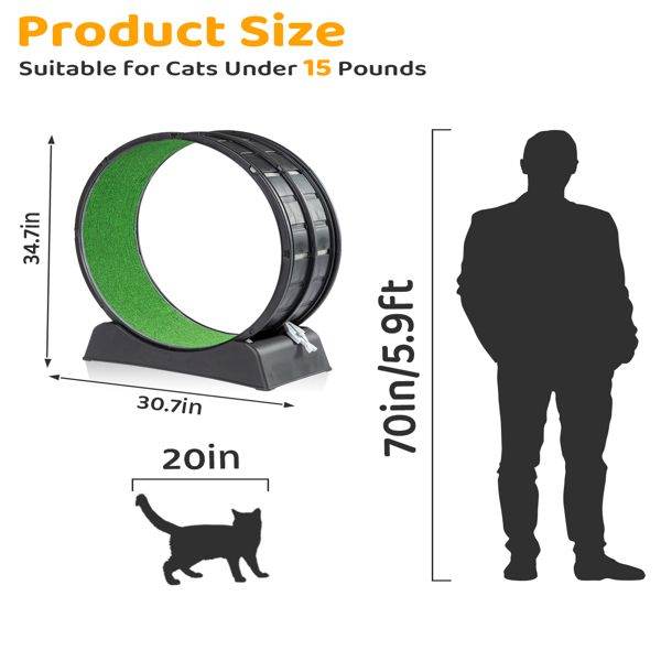 Purrfect Pet Kingdom Cat Treadmill for Active Cats Purrfect Pet Kingdom