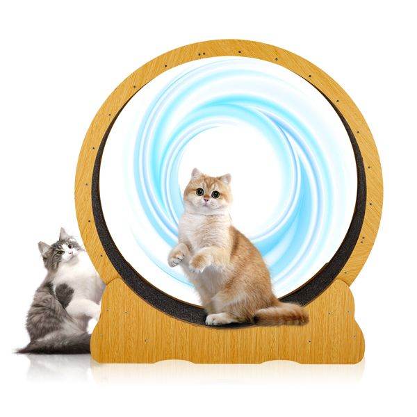 Purrfect Pet Kingdom Cat Treadmill with Wooden Frame Purrfect Pet Kingdom