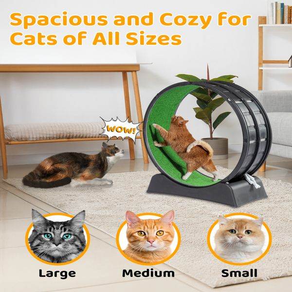Purrfect Pet Kingdom Cat Treadmill for Active Cats Purrfect Pet Kingdom