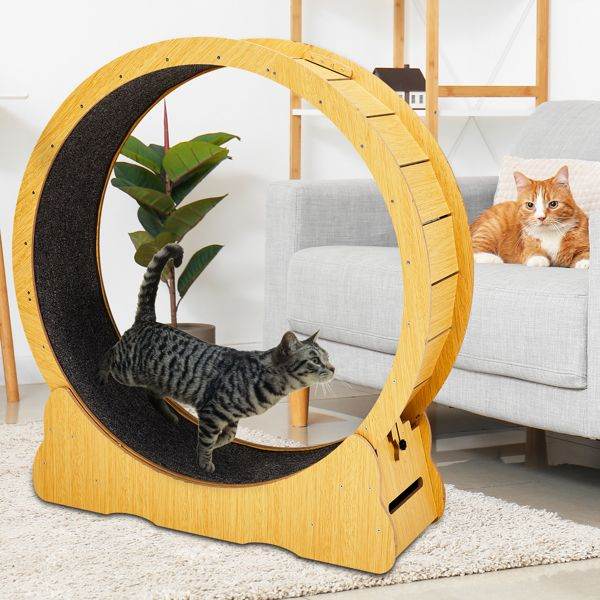 Purrfect Pet Kingdom Cat Treadmill with Wooden Frame Purrfect Pet Kingdom
