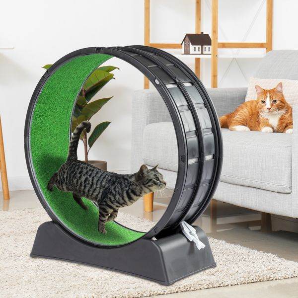 Purrfect Pet Kingdom Cat Treadmill for Active Cats Purrfect Pet Kingdom