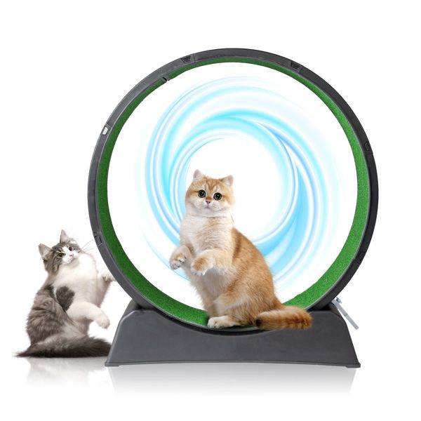 Purrfect Pet Kingdom Cat Treadmill for Active Cats Purrfect Pet Kingdom