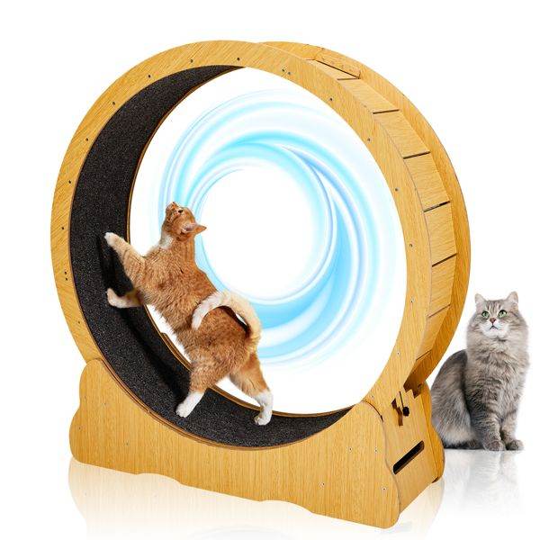 Purrfect Pet Kingdom Cat Treadmill with Wooden Frame as picture Purrfect Pet Kingdom