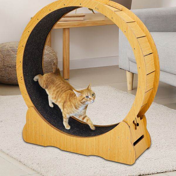 Purrfect Pet Kingdom Cat Treadmill with Wooden Frame Purrfect Pet Kingdom