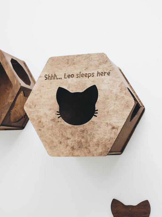 Wall Mounted Cat House