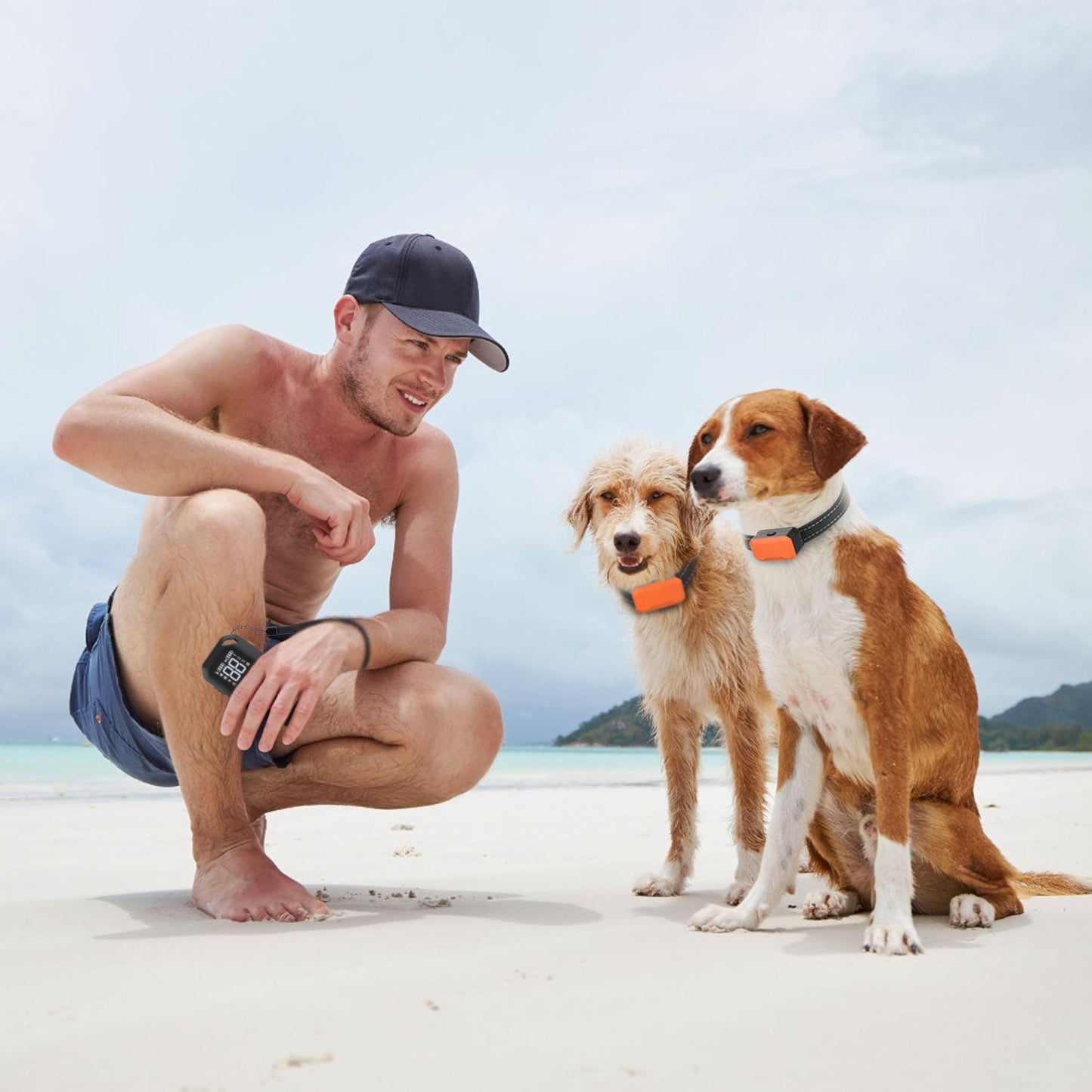 GBruno Wireless Electric Dog Fence