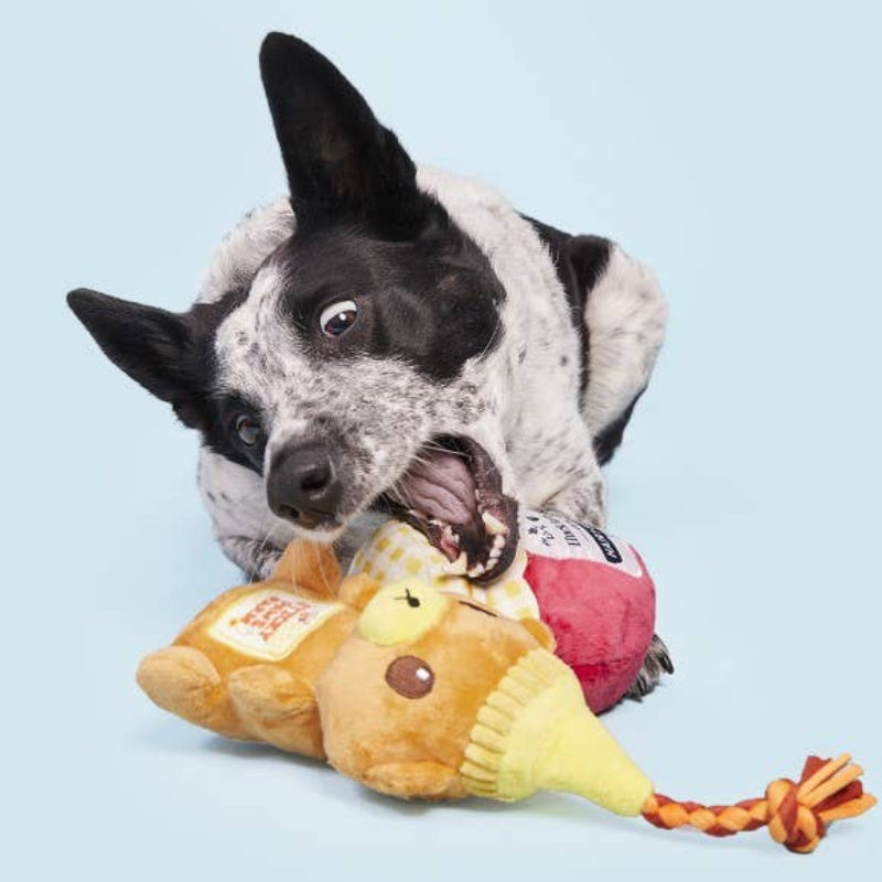 That's My Jam, Honey Plush Dog Toy Set - 2 Pk