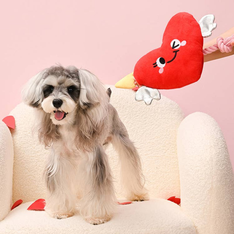 Woof Love Heart & Arrow Rope Plush Pet Toy