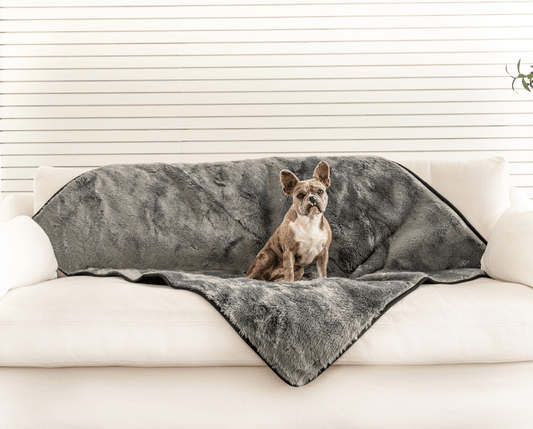 Pupprotector Summer Short Fur Waterproof Throw Blanket Grey - detail view