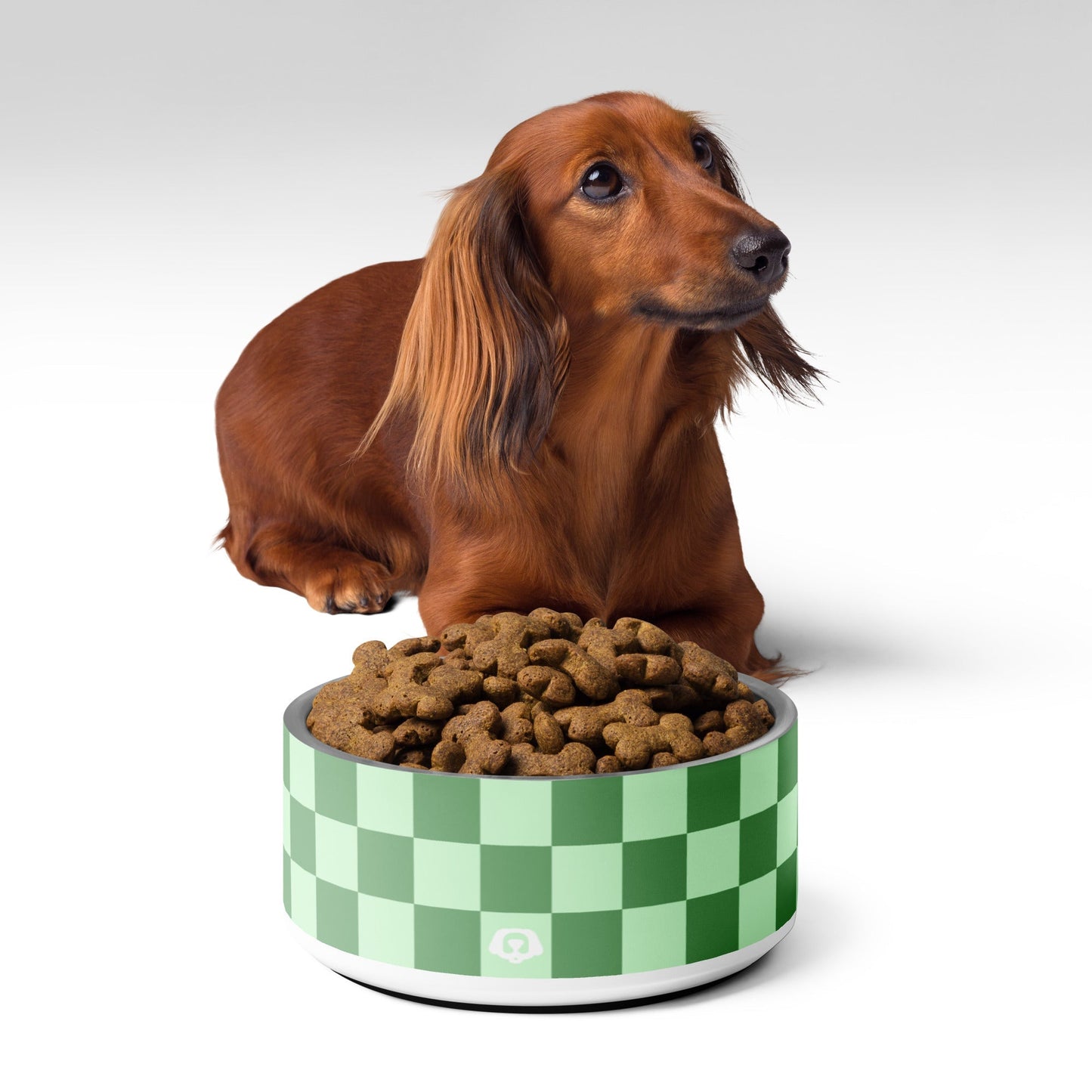 Checker Green Mint 32oz Dog Bowl - Dog Bowls & Feeders - Wuforia