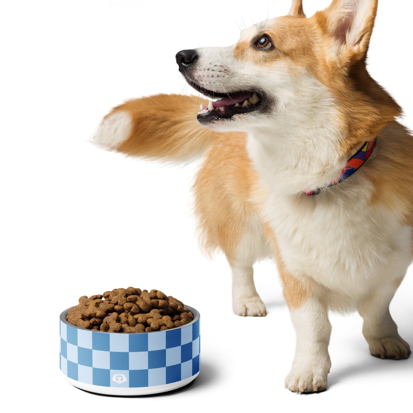 Checker Ocean Blue 32oz Dog Bowl - Dog Bowls & Feeders - Wuforia